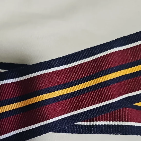 Polo by Ralph Lauren Multicolor Striped Belt